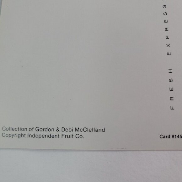 1987 postcard from 1900 art Touchdown brand football with lemon fall young boy - Picture 7 of 8